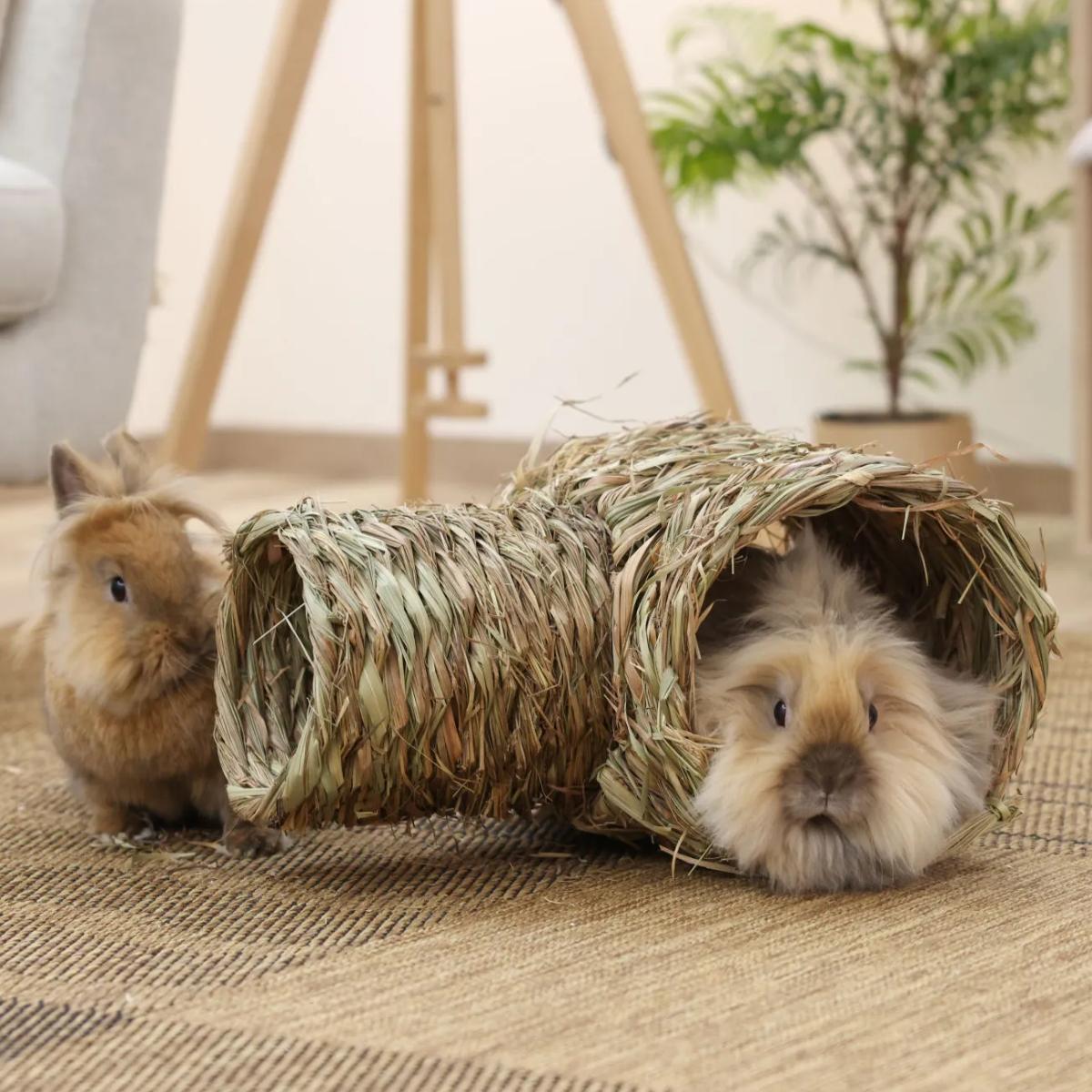 Gras Tunnel 2-parts