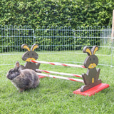 Kanien Agilityeste Obstacle