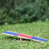 Kanien Agility Keinu