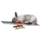 Kanien Agility Keinu