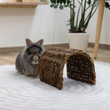 Pajutunneli