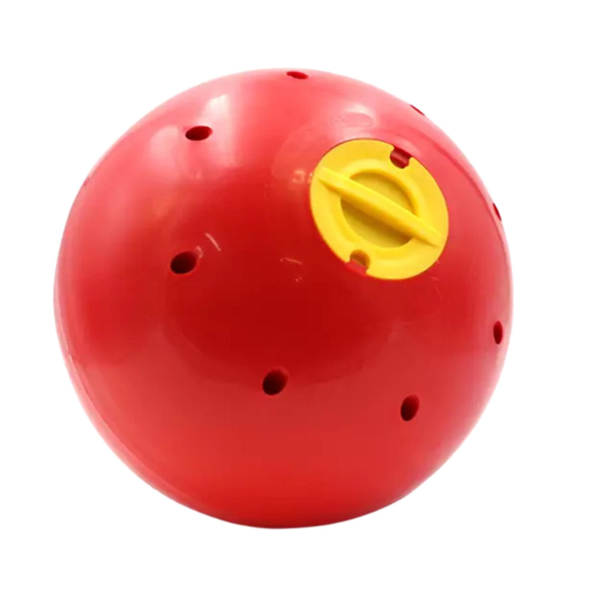 Namipallo Snak-a-Ball