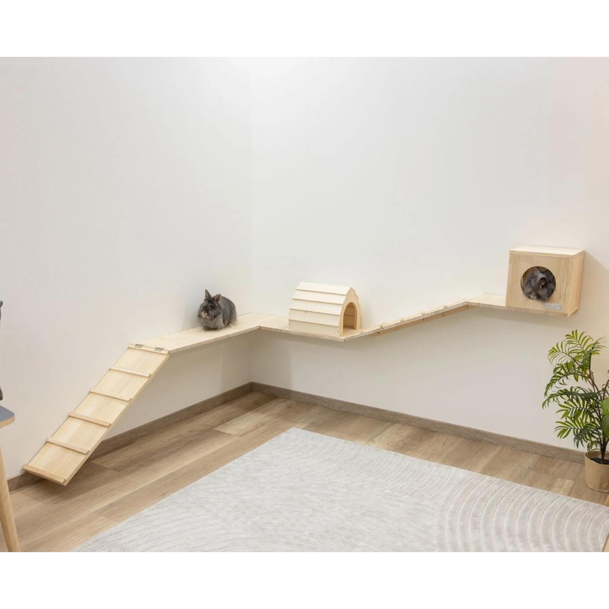Small animal Wall Parkour Skywalk 6