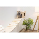 Small animal Wall Parkour Skywalk 6