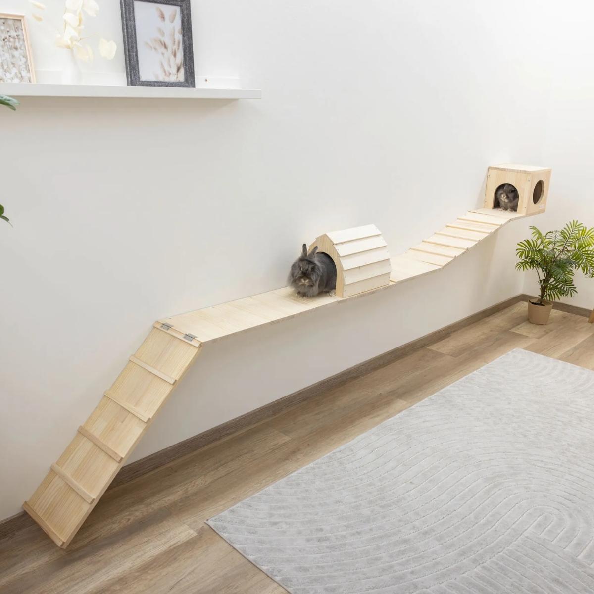 Small animal Wall Parkour Skywalk 6