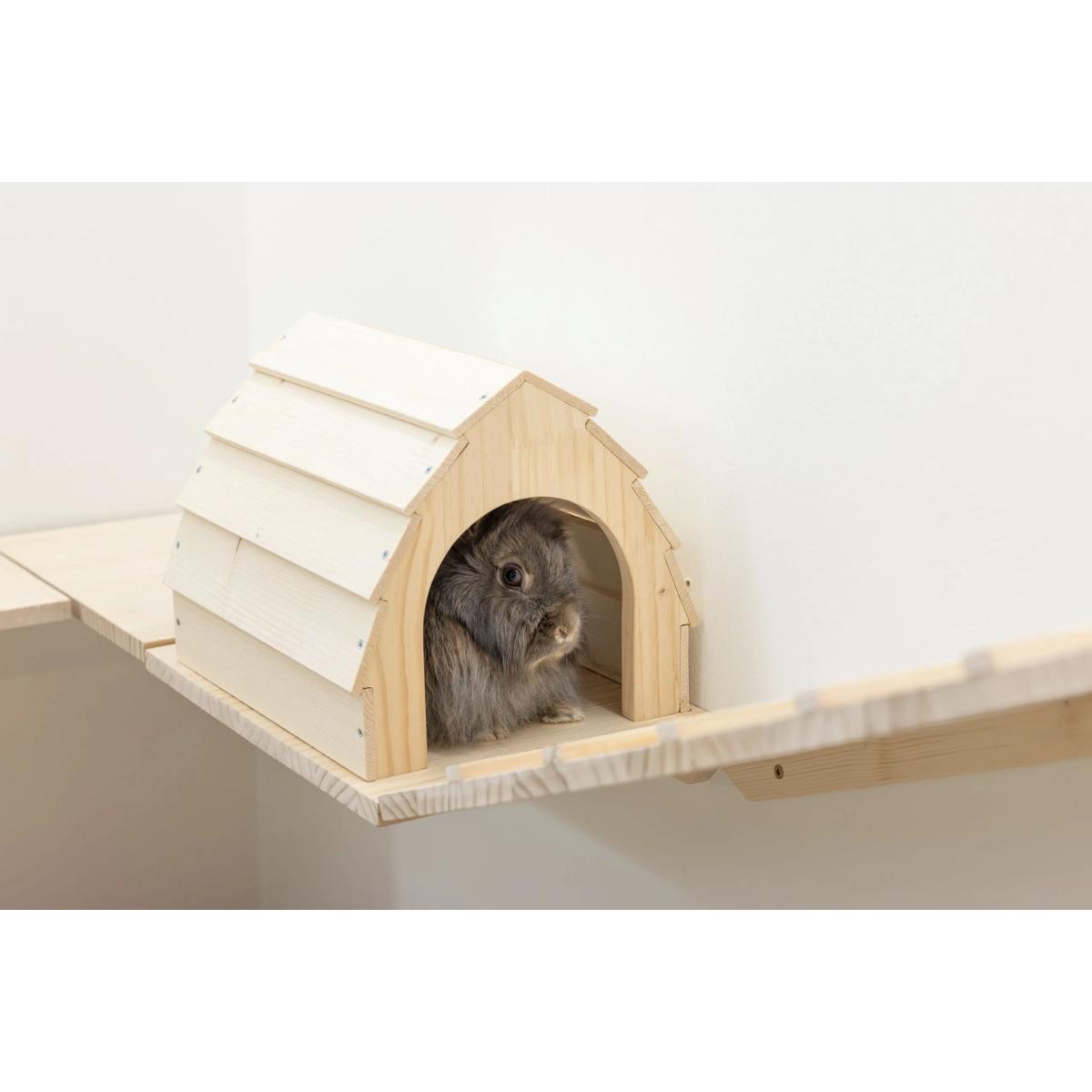 Small animal Wall Parkour Skywalk 6