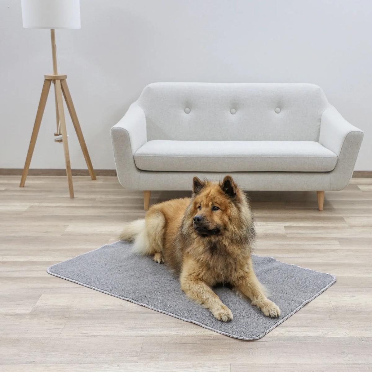 Thermo Blanket