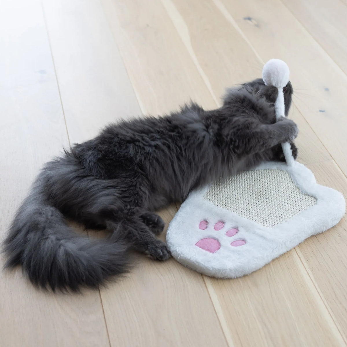 Raapimalauta Paw