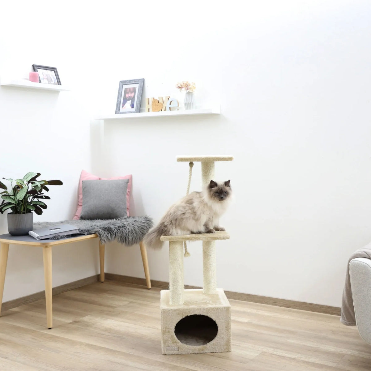 Kerbl Pet Raapimapuu Platin Pro