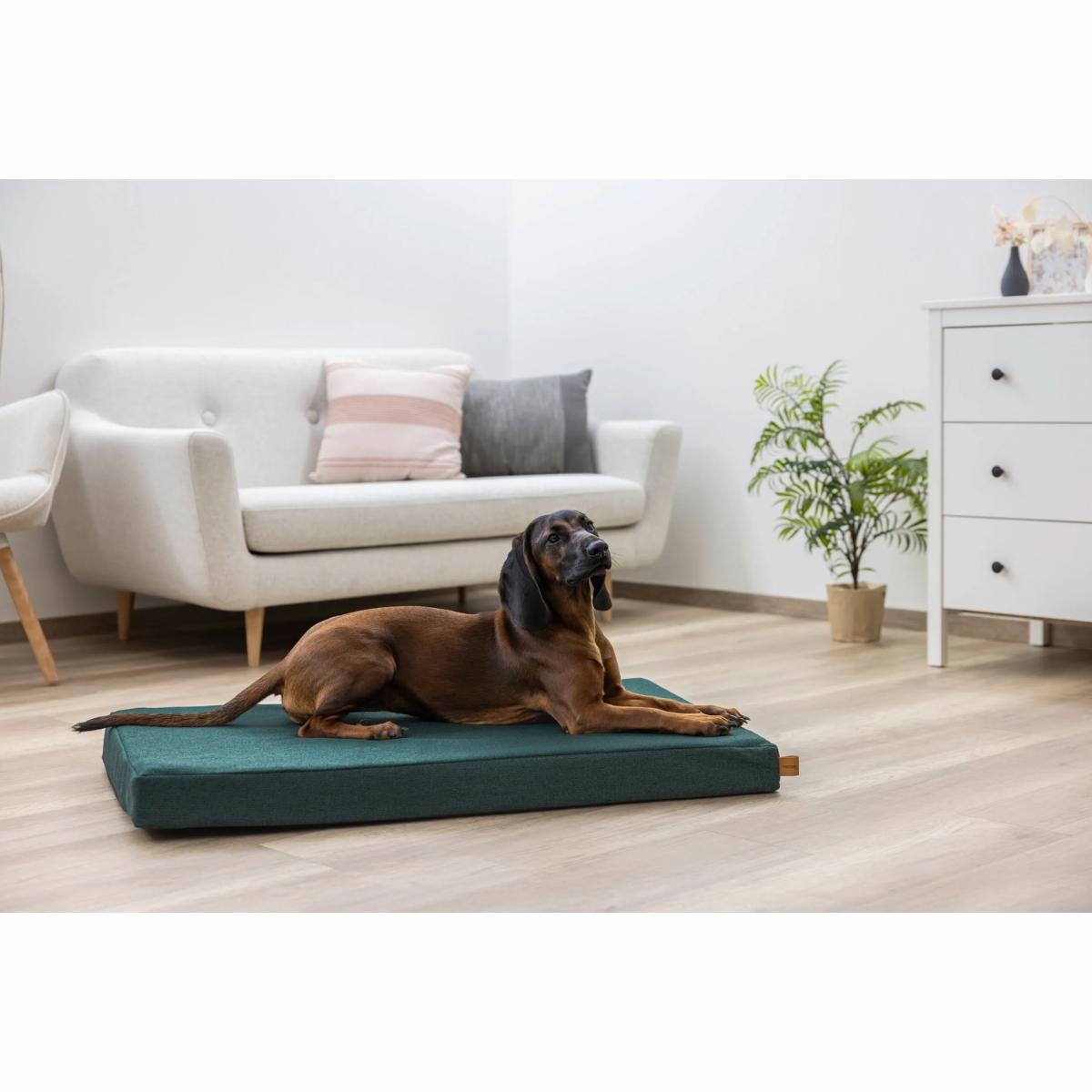 Peti Memory Foam Oliver English Green