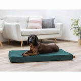 Peti Memory Foam Oliver English Green