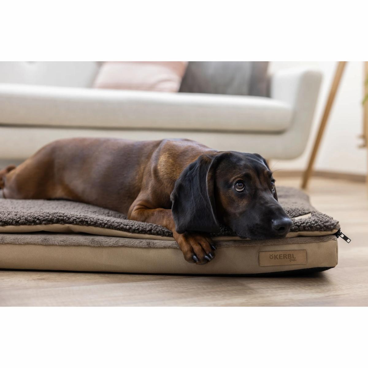 Memory Foam Mattress Multi-functional