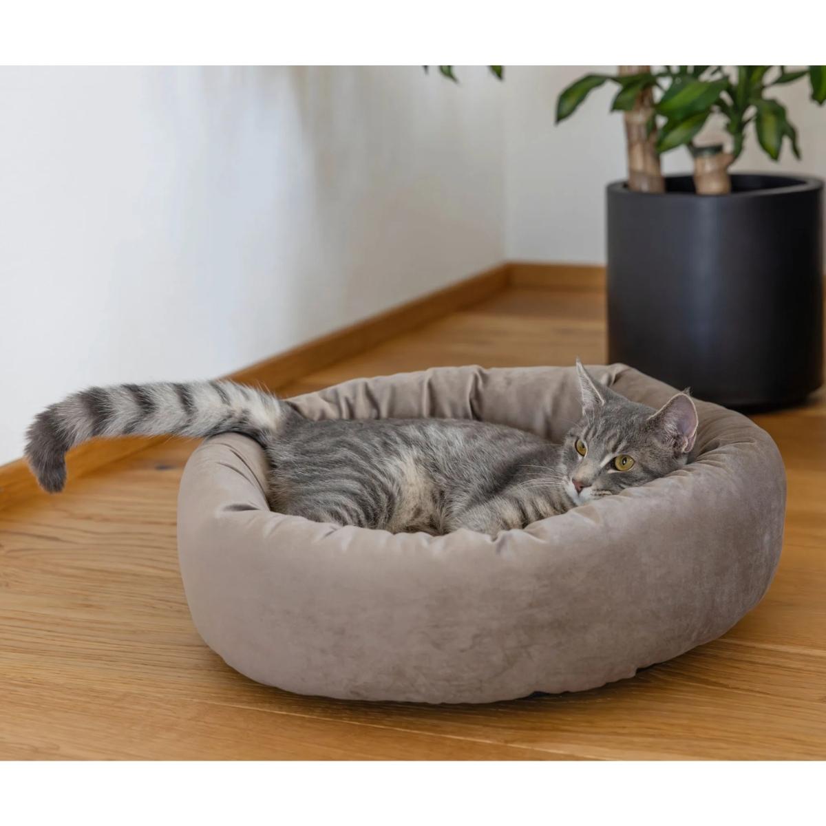 Snugly Bed Velvet