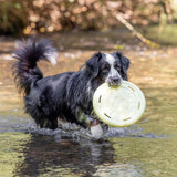 Kelluva Frisbee