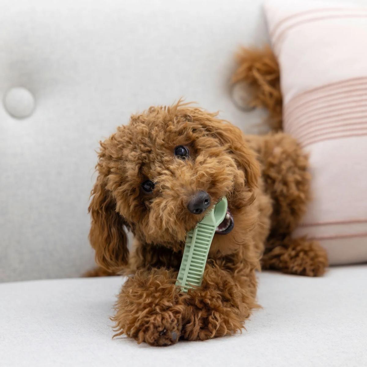 Dog Toy Floating Dumbbell