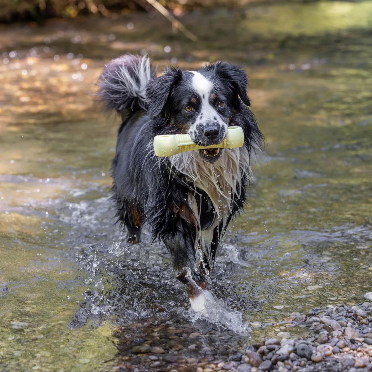 Dog Toy Floating Dumbbell