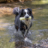 Dog Toy Floating Dumbbell