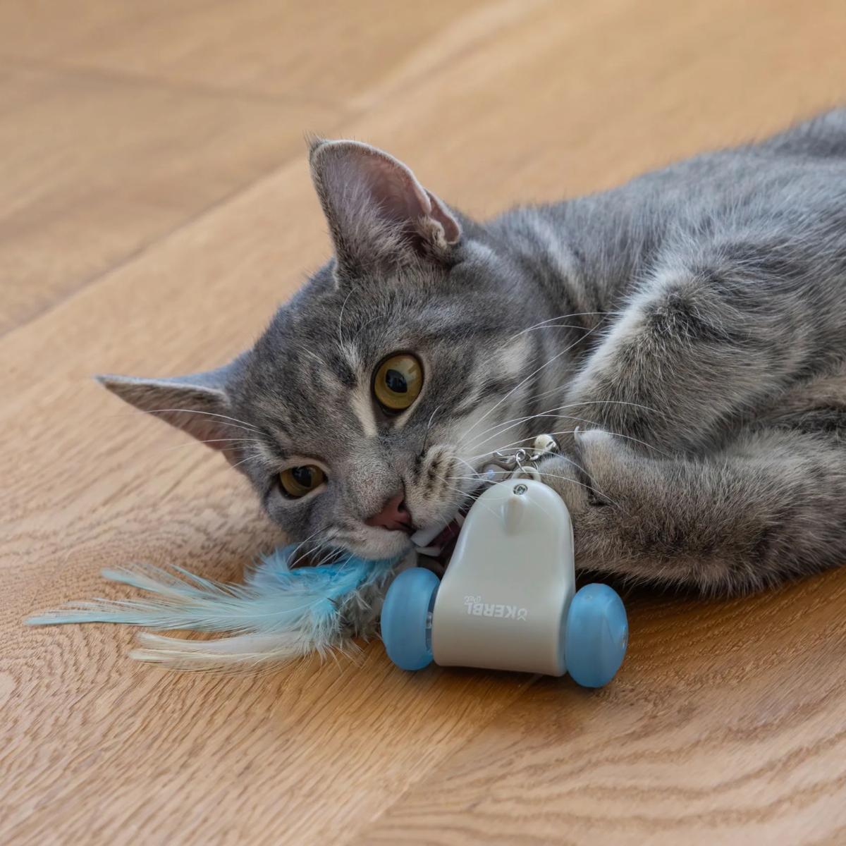 Aktivointilelu Racing Mouse
