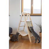 Kiipeilypuu Tower Ladder