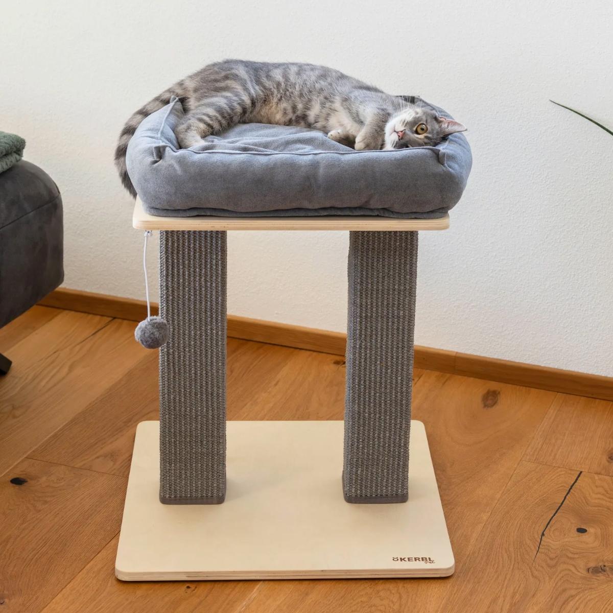 Scratching Post Noah