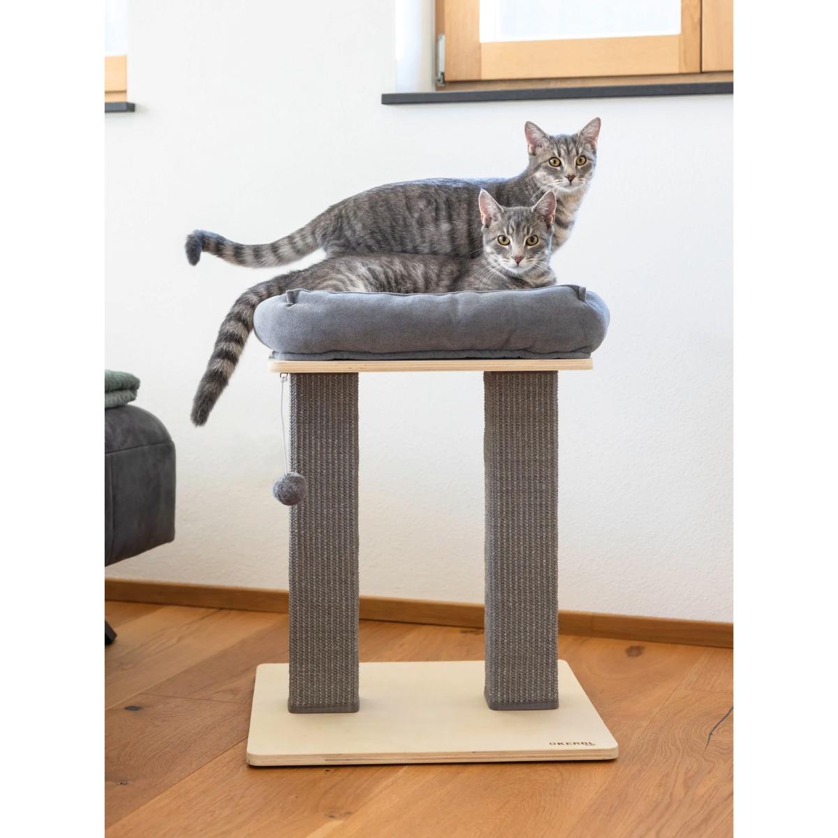 Scratching Post Noah