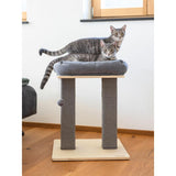 Scratching Post Noah