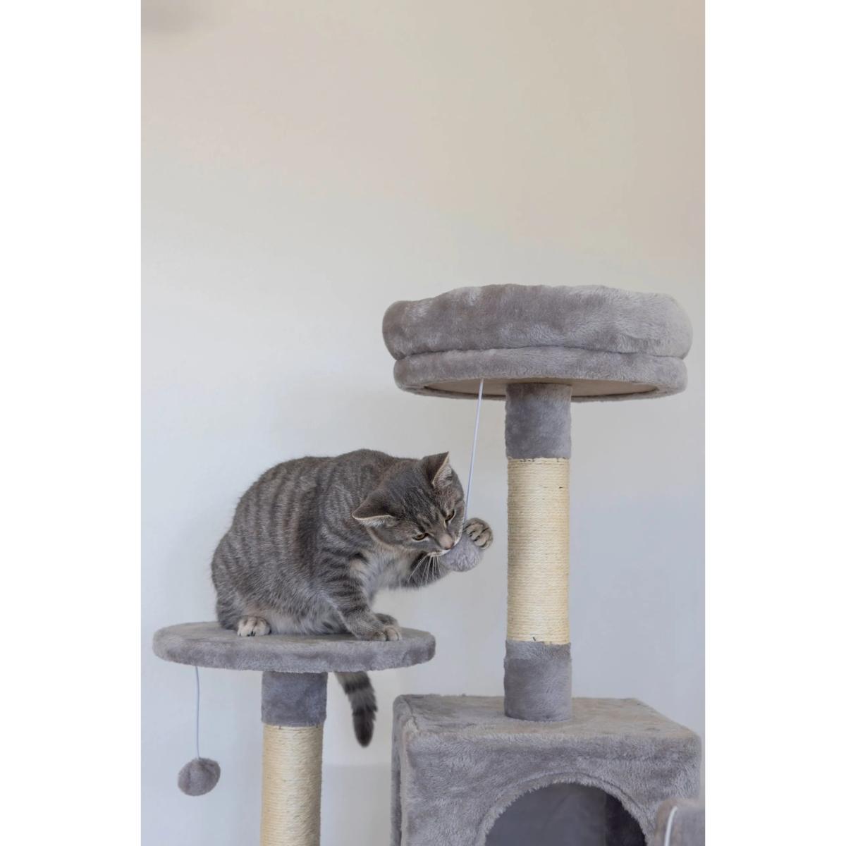 Raapimapuu Levi