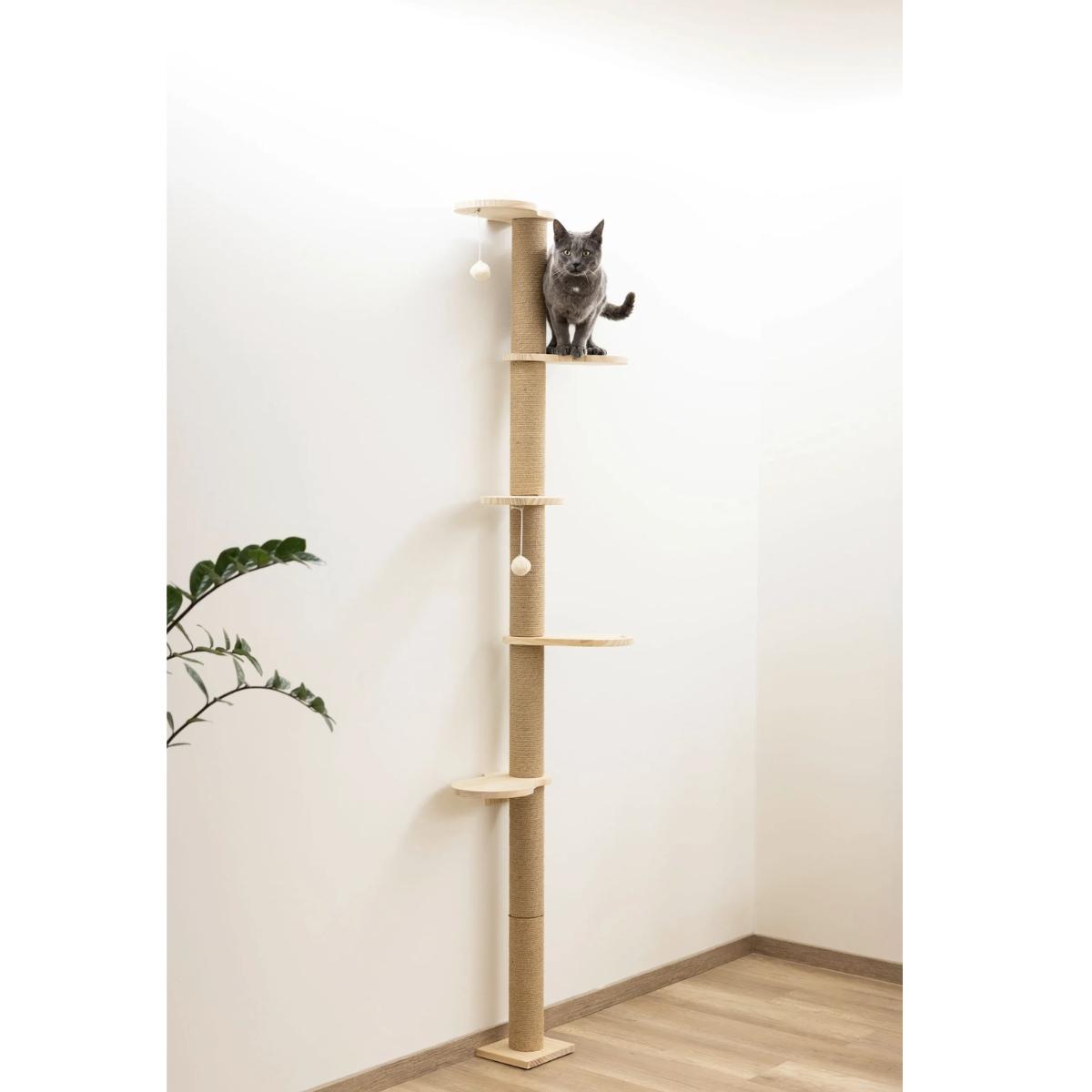 Scratching Post Timber