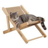 Cat Lounger Beach
