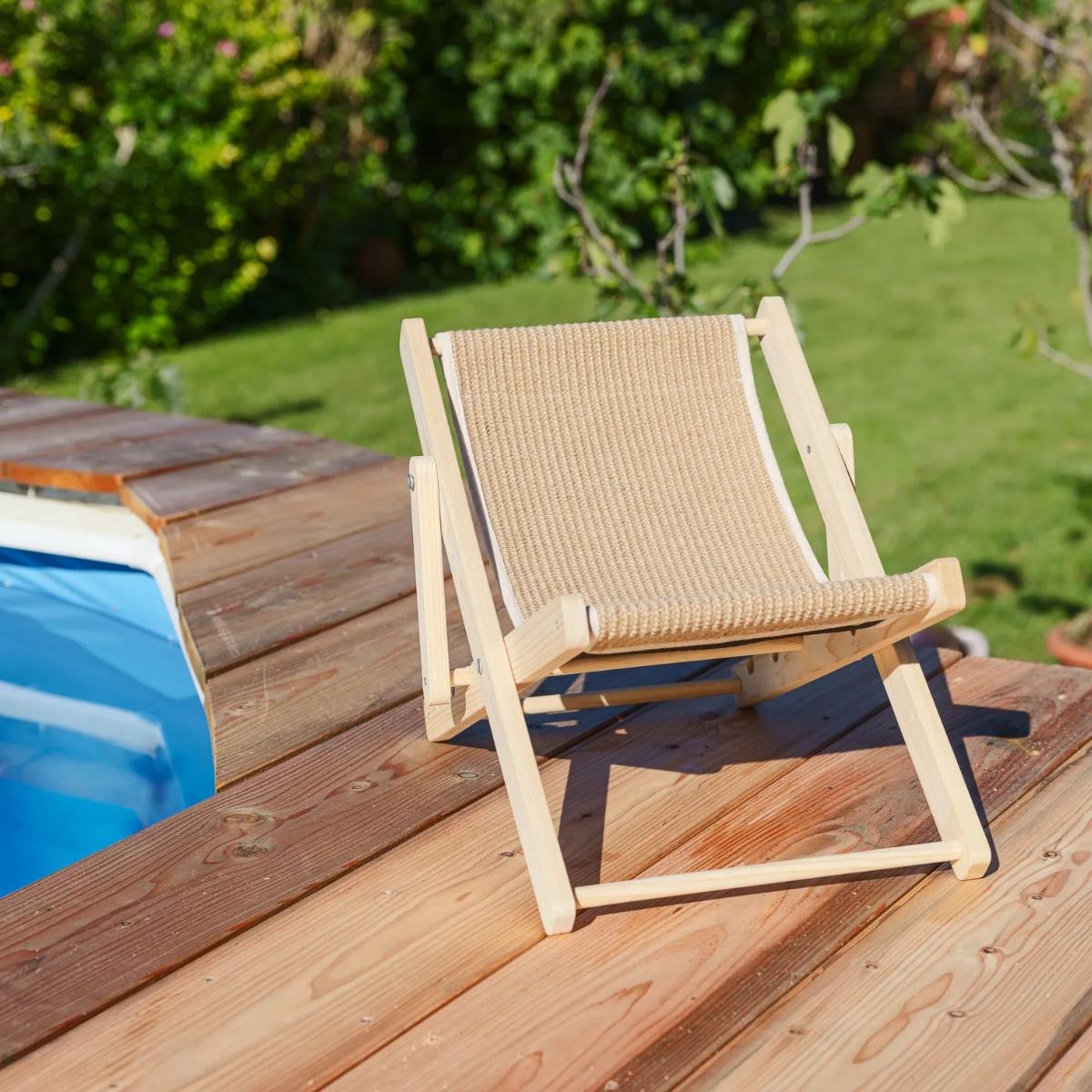 Cat Lounger Beach