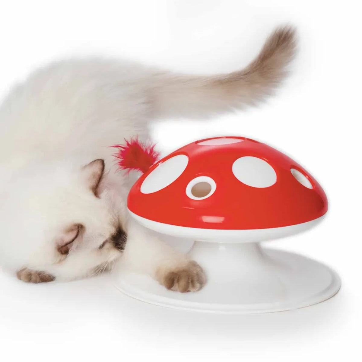 Aktivointilelu Senses 2.0 Mushroom