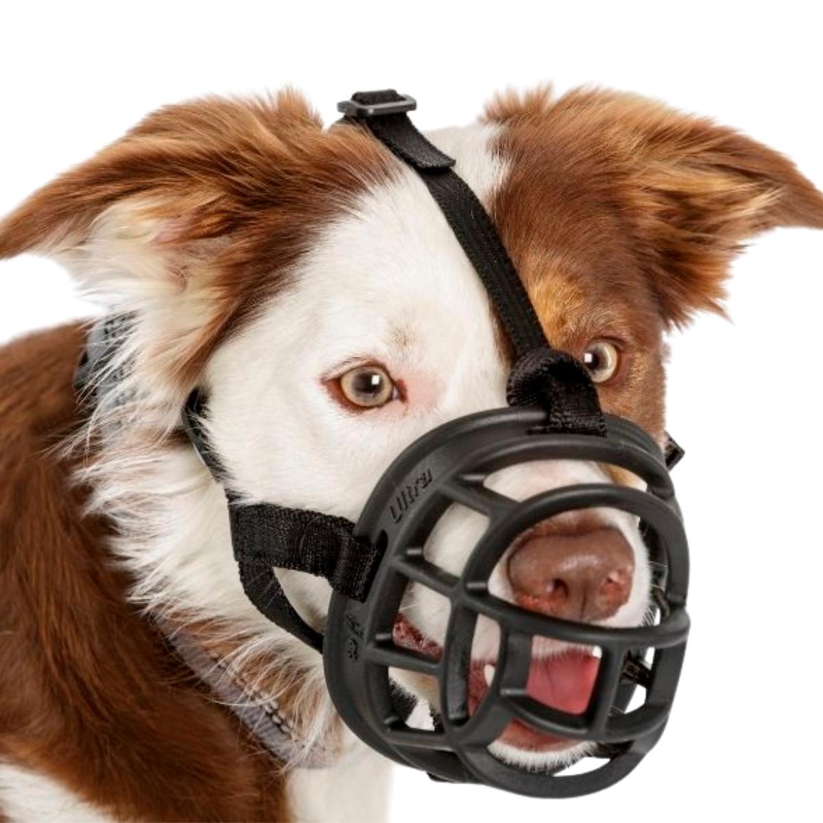 Koiran Kuonokoppa Ultra Muzzle