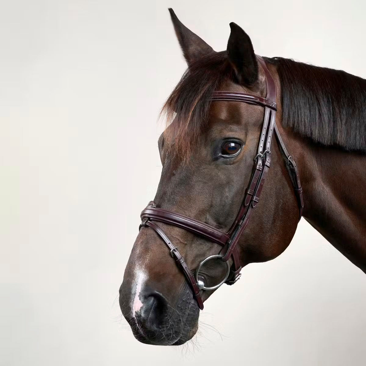 Suitset Flash Noseband NE/D Collections