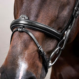 Suitset Flash Noseband NE/D Collections