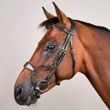 Suitset Hybrid Noseband NE/D Collections
