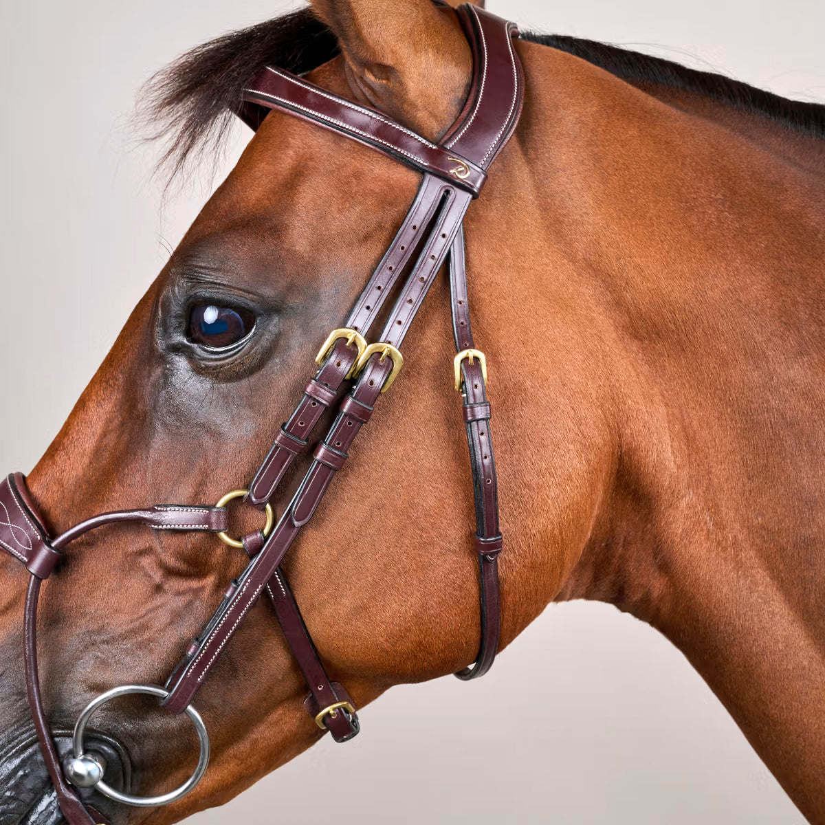 Suitset Hybrid Noseband NE/D Collections