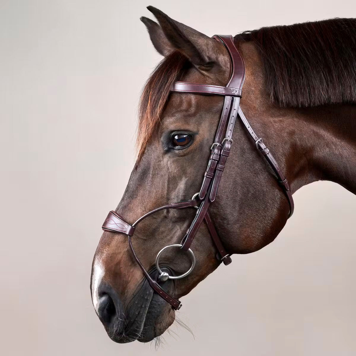Suitset Hybrid Noseband NE/D Collections