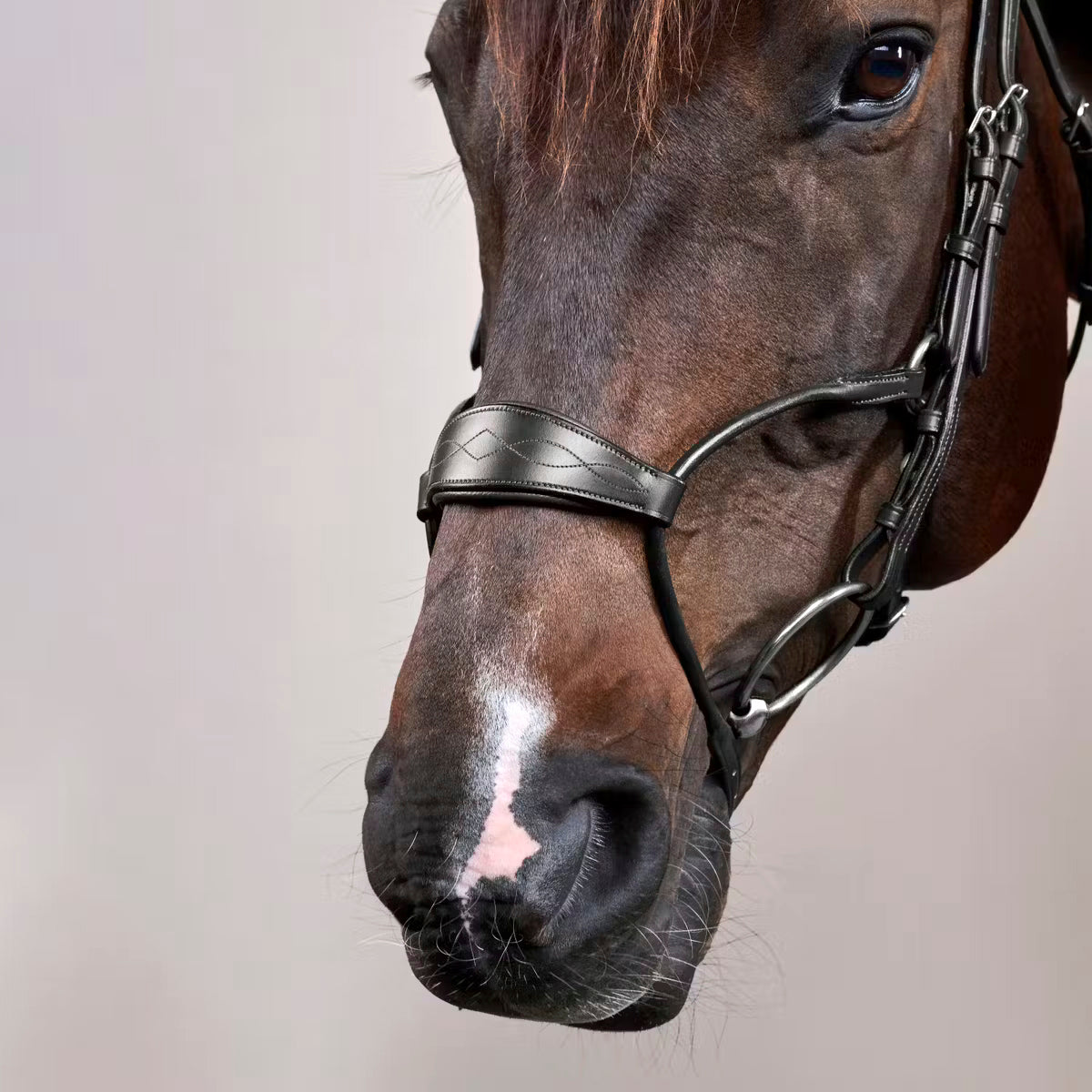 Suitset Hybrid Noseband NE/D Collections