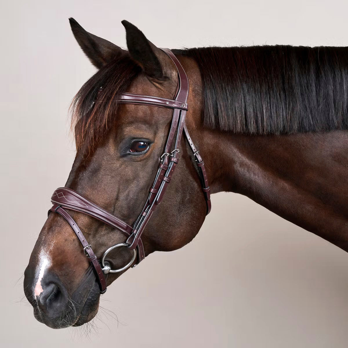 Suitset Anatomic Flash Noseband NE/US/D Collections