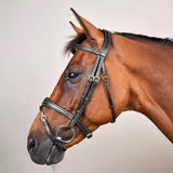 Suitset Anatomic Flash Noseband NE/US/D Collections