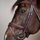 Bridle Plaited Medium Crank Noseband NE/D Collections