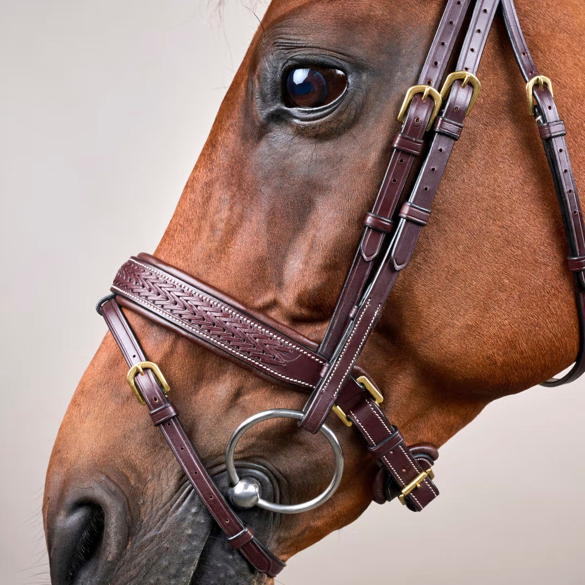 Bridle Plaited Medium Crank Noseband NE/D Collections
