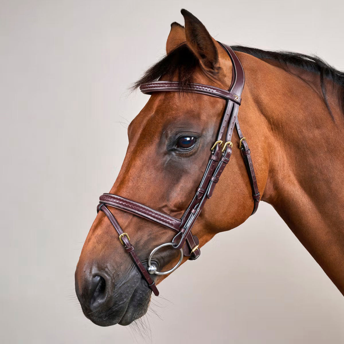 Suitset Plaited Flash Noseband NE/D Collections