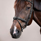 Suitset Plaited Flash Noseband NE/D Collections