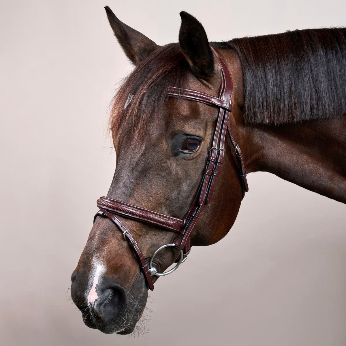 Suitset Plaited Flash Noseband NE/D Collections