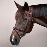 Suitset Plaited Flash Noseband NE/D Collections