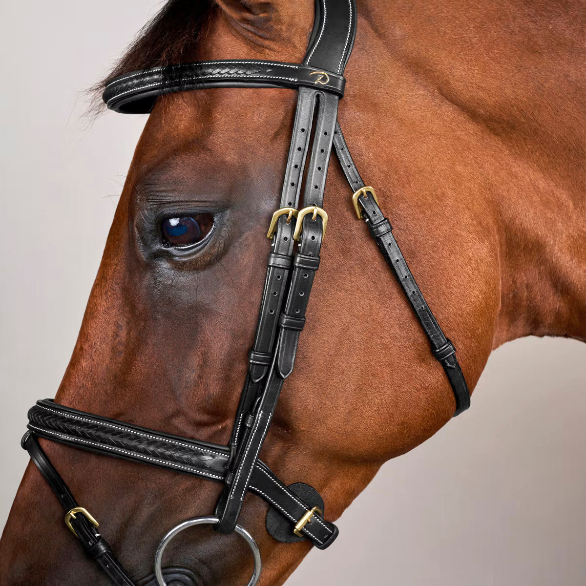 Suitset Plaited Flash Noseband NE/D Collections