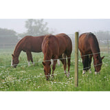 Aitalanka TopLine Horse 6mm