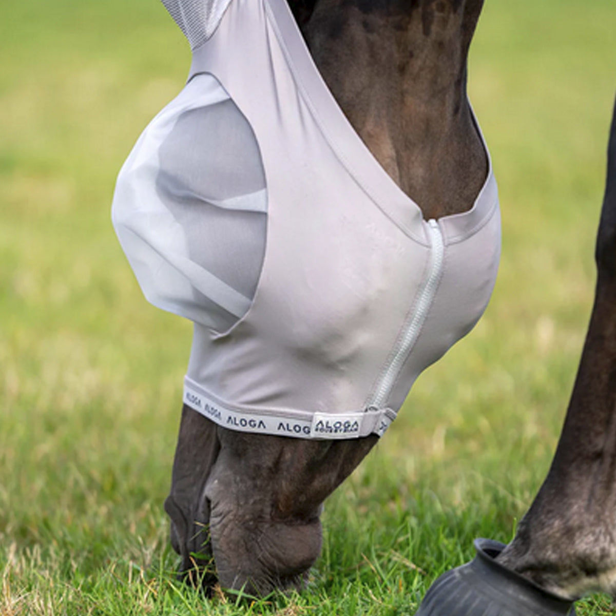 Kärpäshuppu Fly Mask