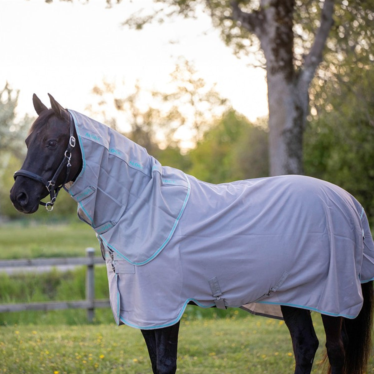 Hyönteisloimi Fly Sheet
